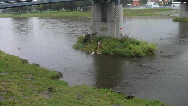 Foto 03.JPG - Vjezd - uhynul kachna v Berounce pod lvkou u autobusovho ndra